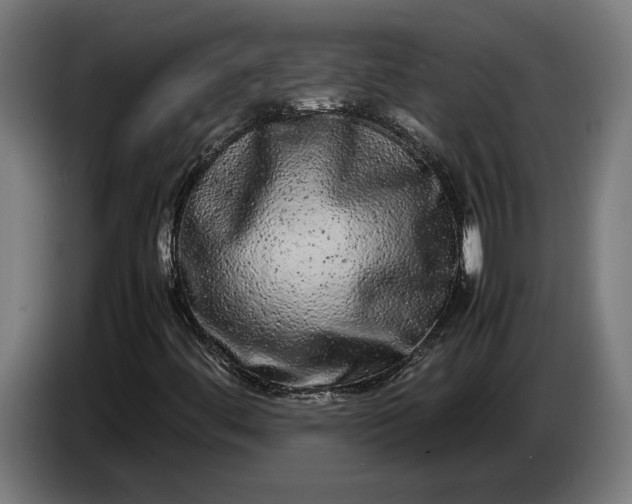 X0000087421444200705041258