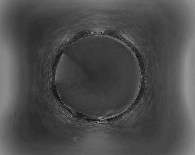 X0000087421445200705041258