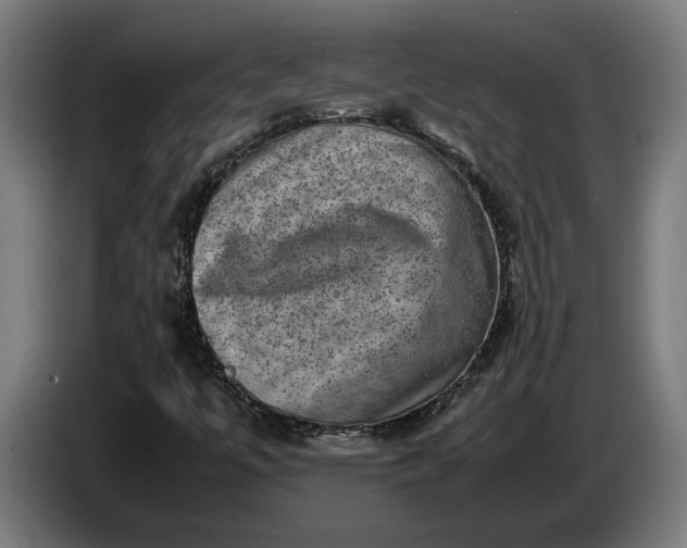 X0000087421447200705041258