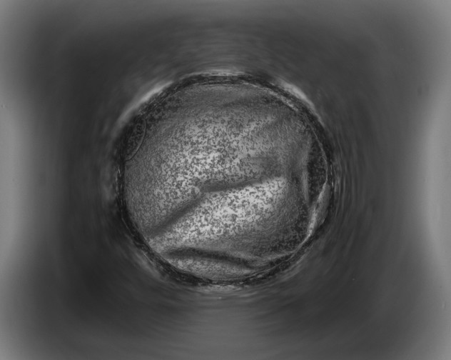 X0000087421448200705041258