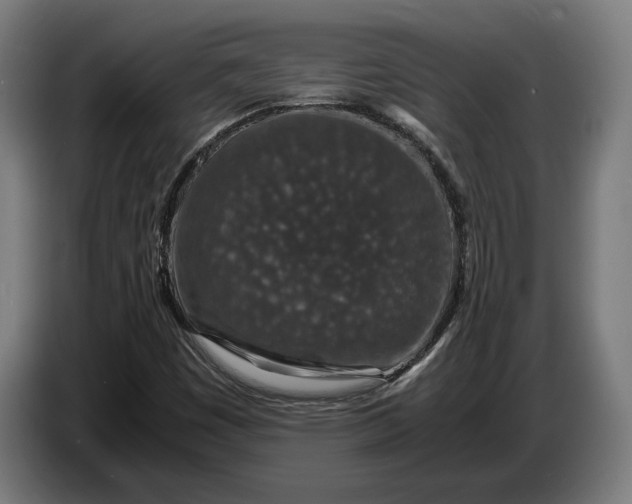 X0000087421449200705041258