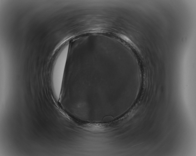 X0000087421450200705041258