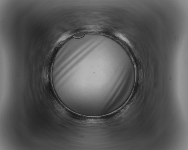 X0000087421451200705041258