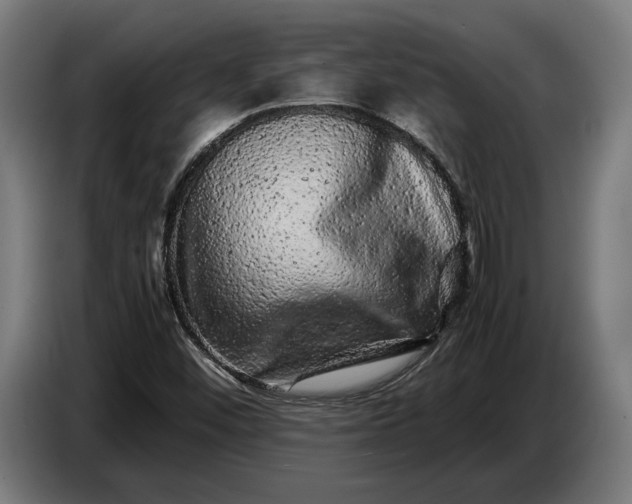 X0000087421452200705041258