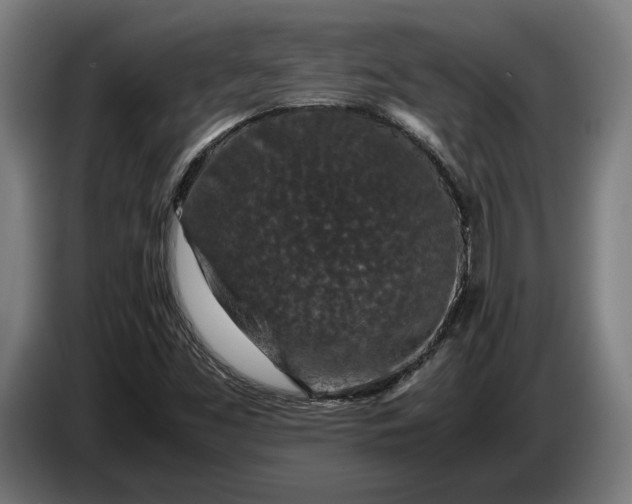 X0000087421453200705041258