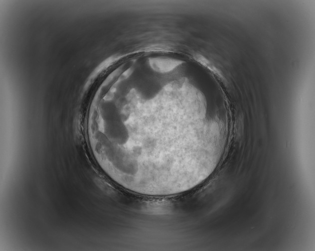 X0000087421454200705041258