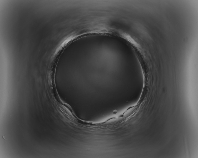 X0000087421455200705041258