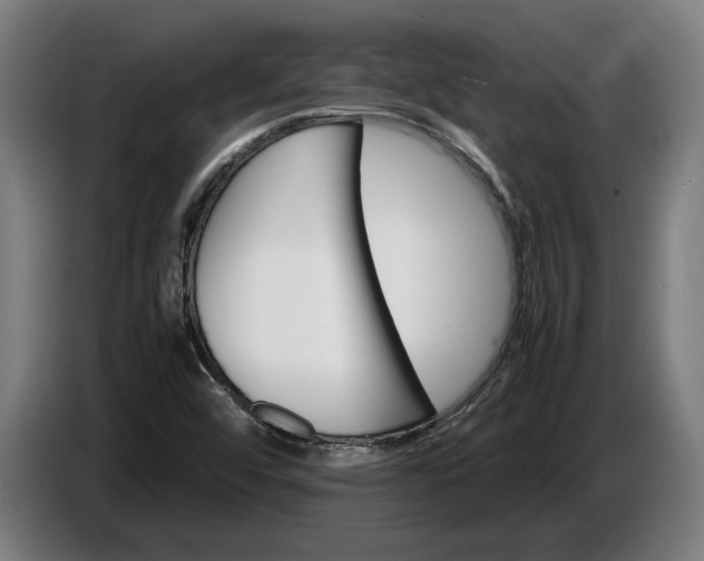 X0000087421456200705041258