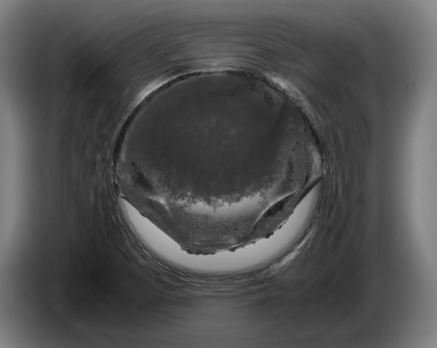 X0000087421457200705041258