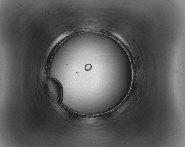 X0000087421458200705041258