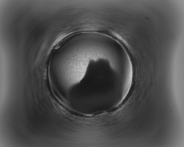 X0000087421459200705041258