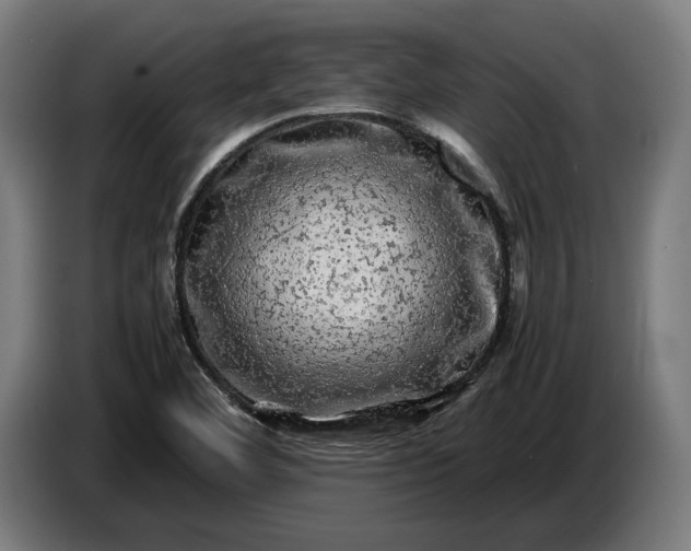 X0000087421460200705041258