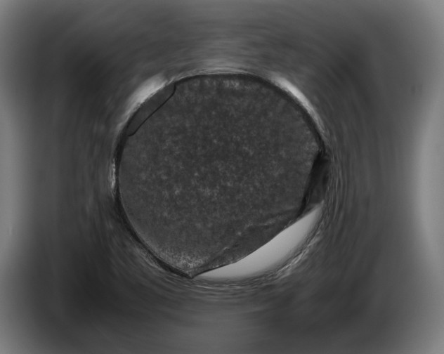 X0000087421461200705041258