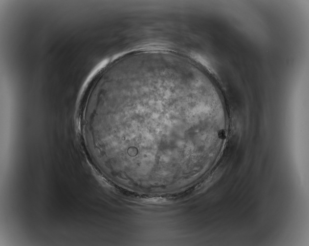 X0000087421462200705041258