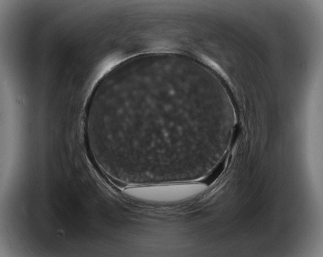 X0000087421463200705041258