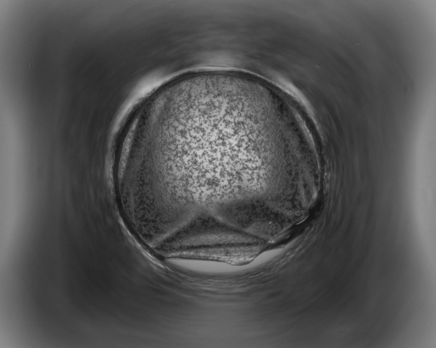 X0000087421464200705041258