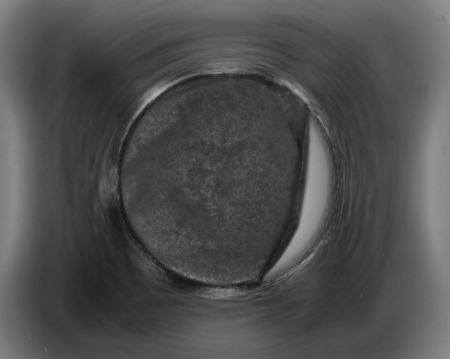 X0000087421465200705041258