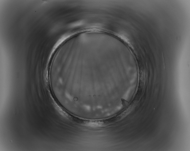 X0000087421466200705041258