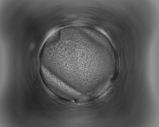 X0000087421467200705041258