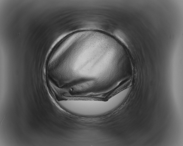 X0000087421468200705041258