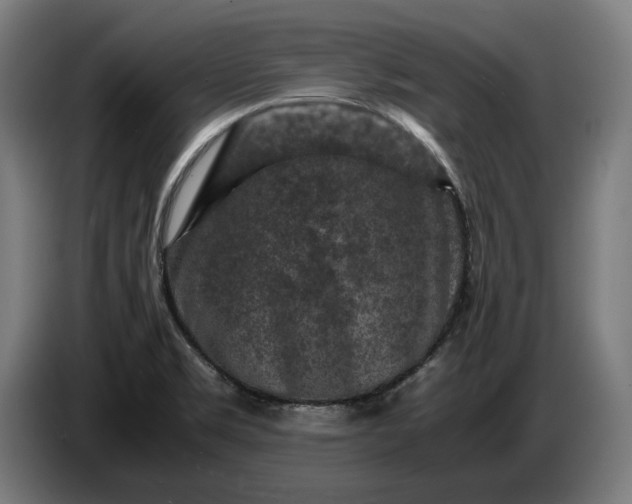 X0000087421469200705041258