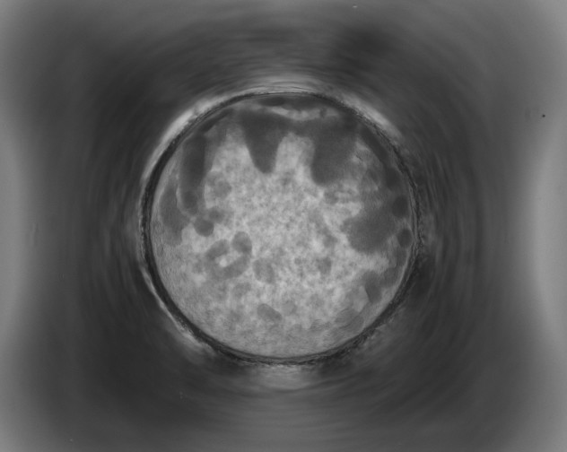 X0000087421470200705041258