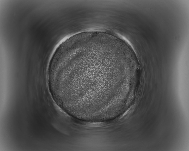 X0000087421471200705041258