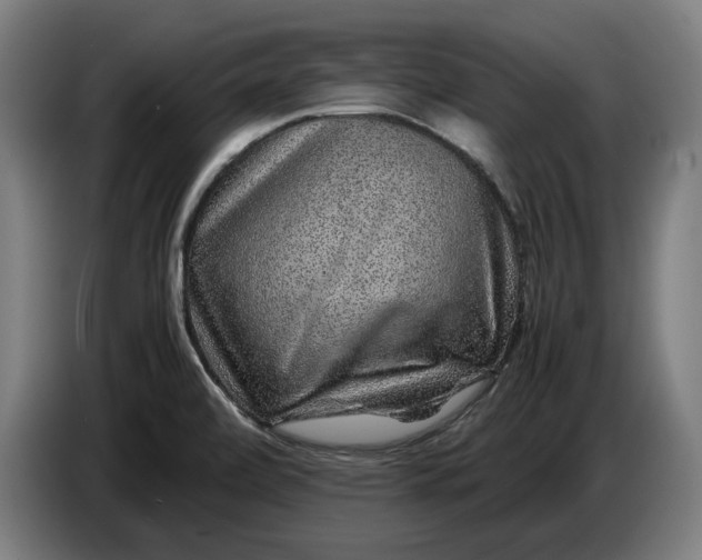 X0000087421472200705041258