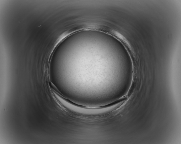 X0000087421473200705041258