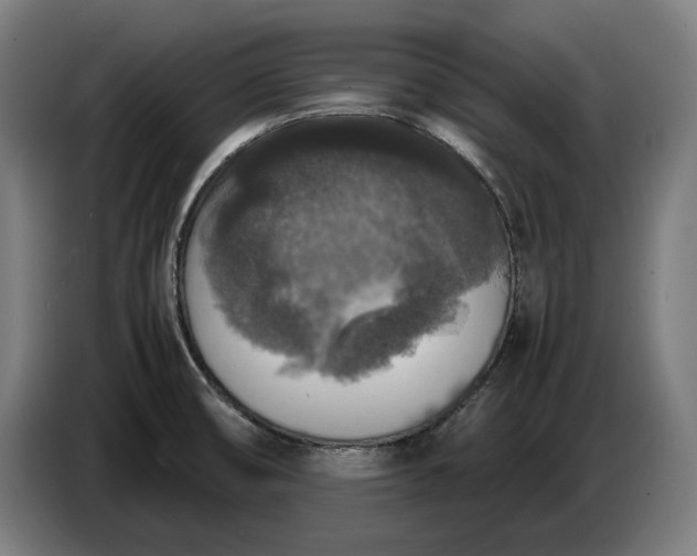 X0000087421474200705041258