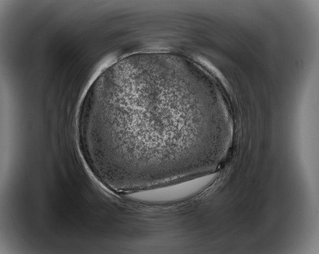 X0000087421475200705041258