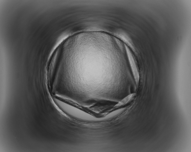 X0000087421476200705041258