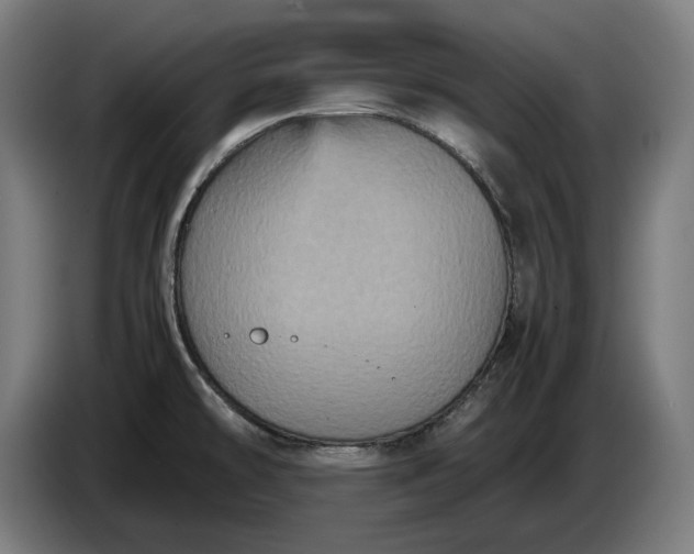 X0000087421478200705041258