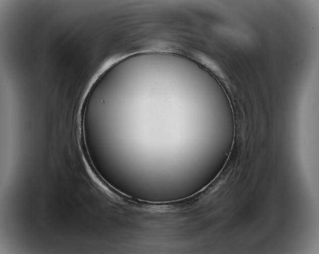 X0000087421479200705041258