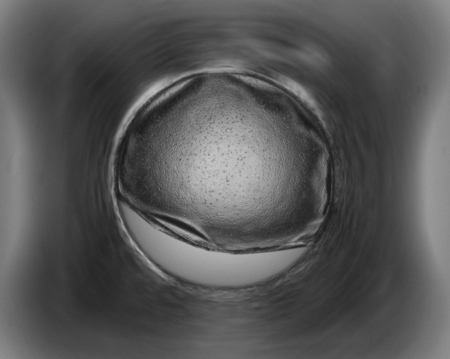 X0000087421480200705041258