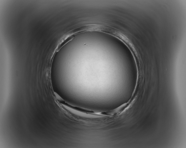 X0000087421481200705041258