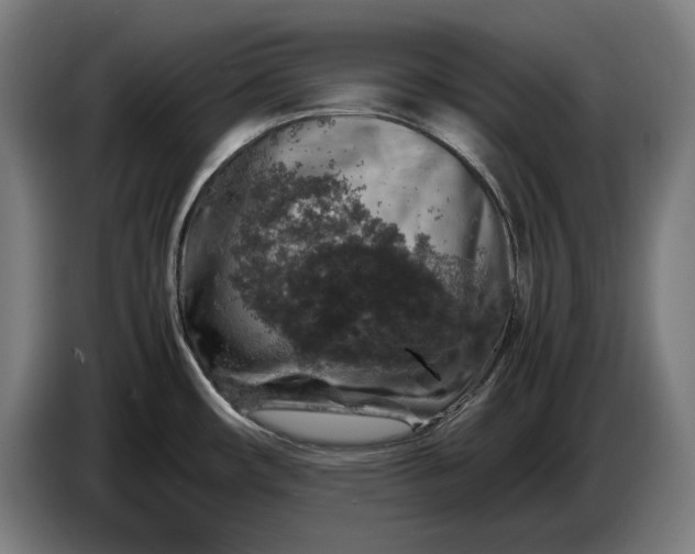 X0000087421482200705041258