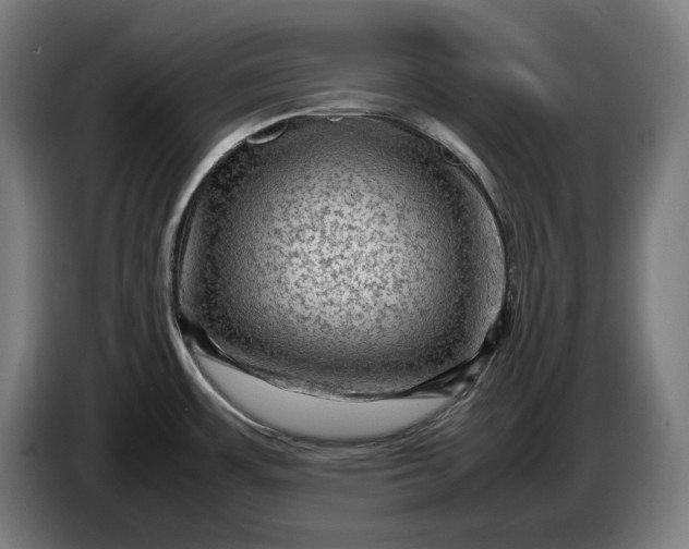 X0000087421483200705041258