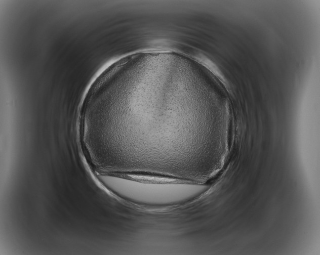 X0000087421484200705041258