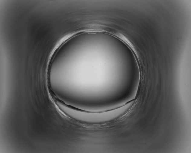 X0000087421485200705041258