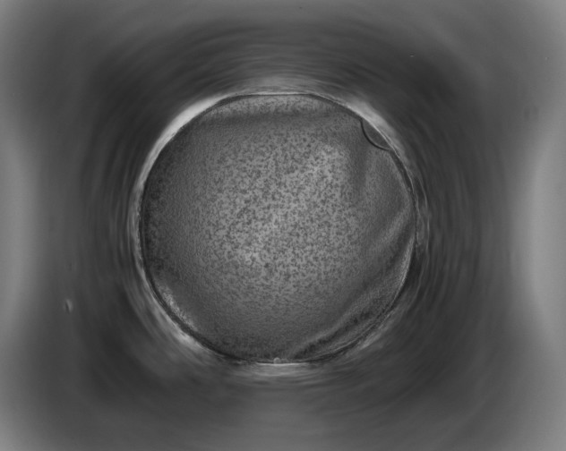 X0000087421486200705041258