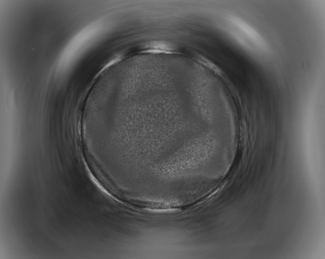 X0000087421487200705041258