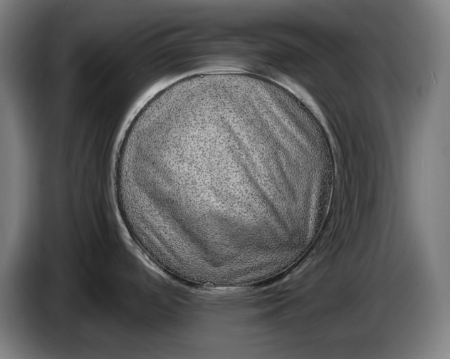 X0000087421488200705041258