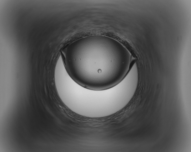 X0000087421492200705041257