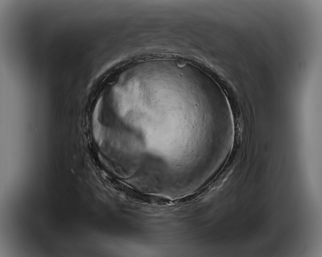 X0000087421494200705041257