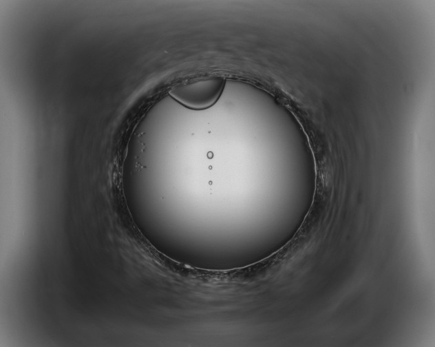 X0000087421495200705041257