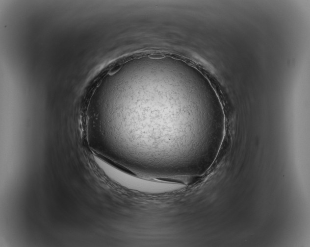 X0000087421496200705041257