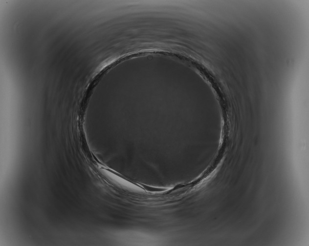 X0000087421497200705041257