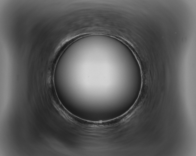 X0000087421499200705041257