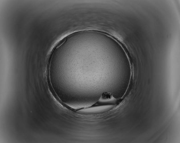 X0000087421500200705041257